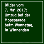 Bild von Auftritt am 7. Mai 2017