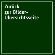 Zurück zur Bilder-Übersichtsseite